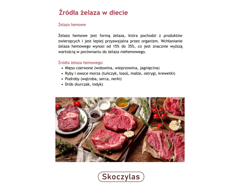 ŻELAZO (E-BOOK) - 3